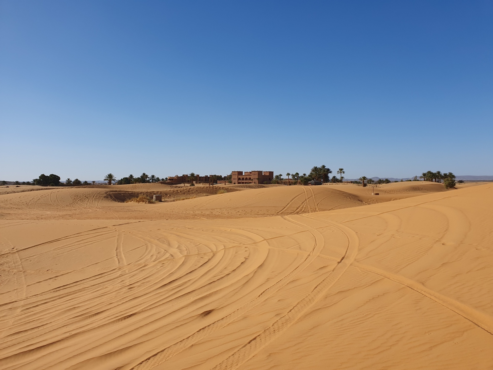 2026-03-01_Pfarrnachrichten_Wüste