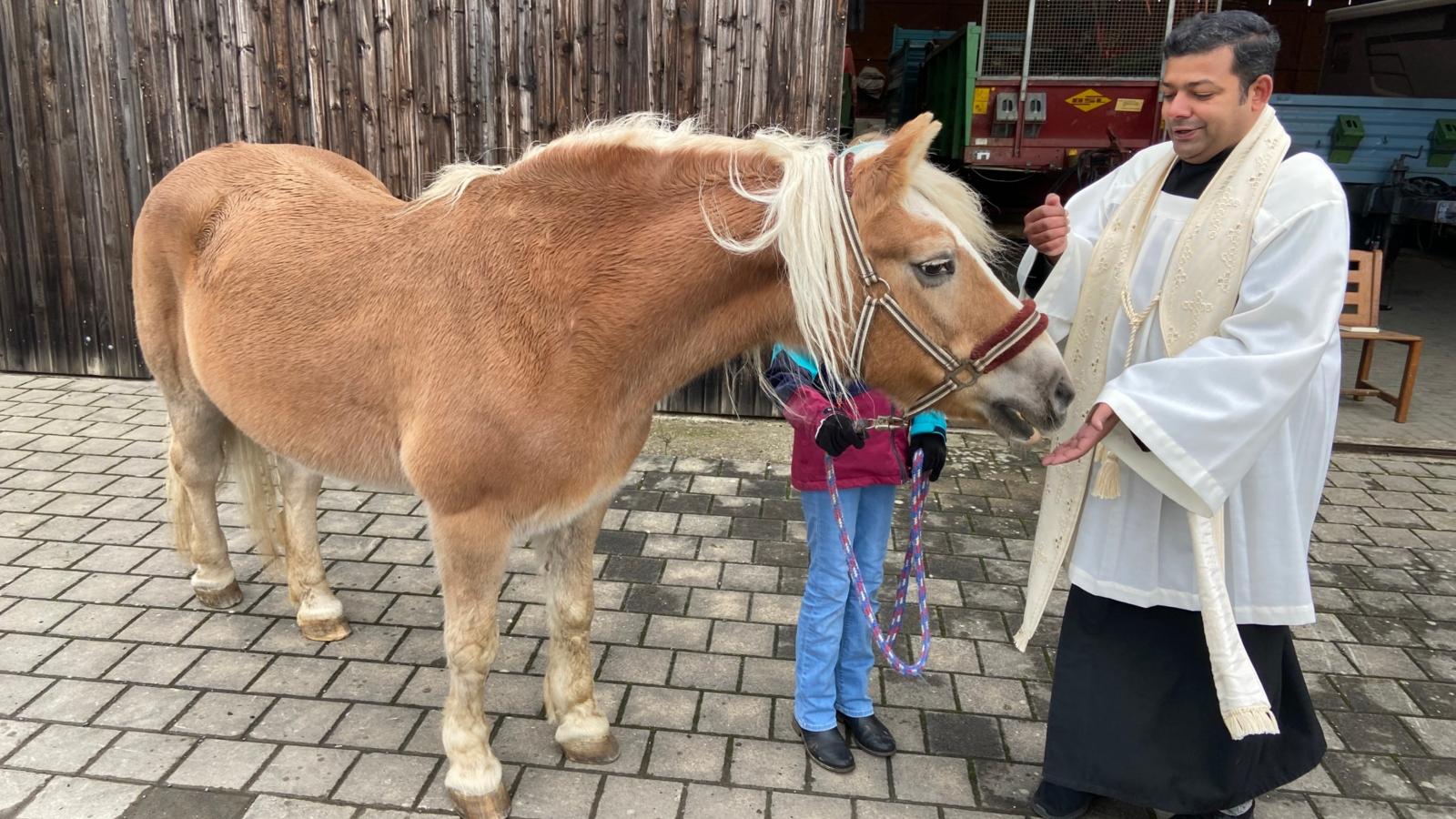 2025-10-26-Tiersegnung-10