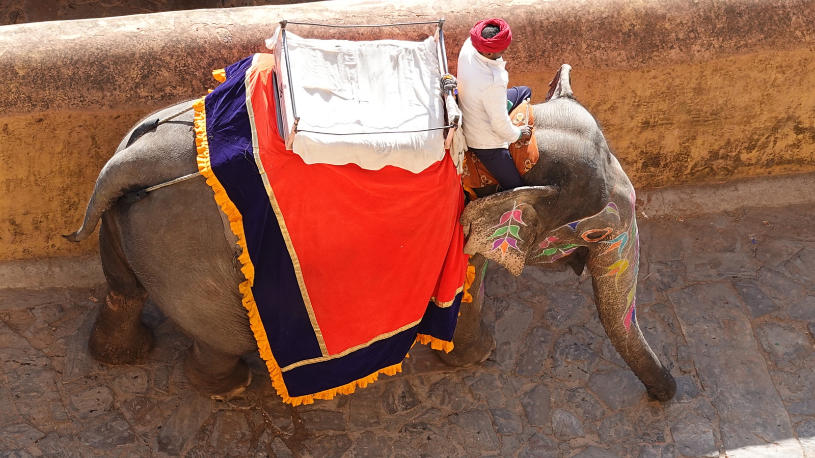 2026-01-25 Indien 051 Fort Amber 16 Jh