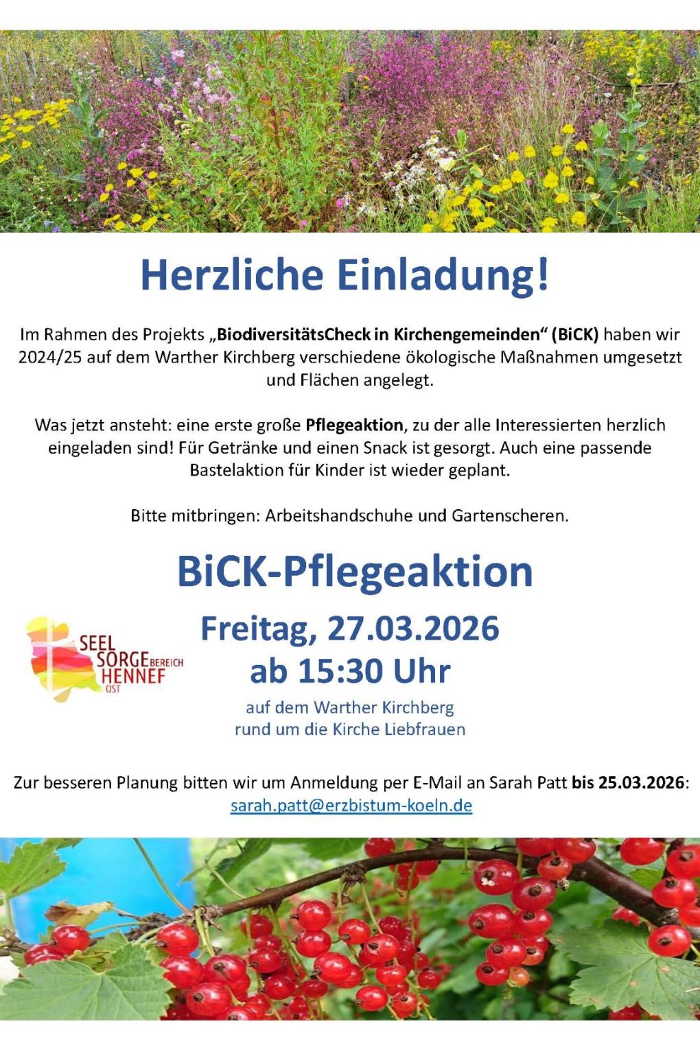 2026-03-27_Plakat BiCK-Pflegeaktionstag